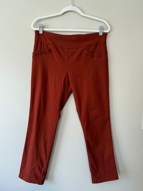 Joe B Cropped Ankle Pants in Rust